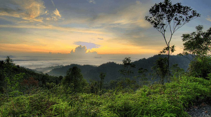 5 Bukit Terbaik untuk Hiking di Kuantan
